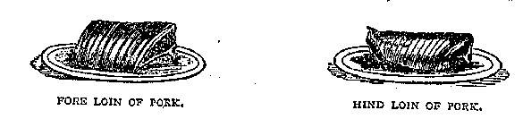 CHAPTER XVII. PORK AND BACON RECIPES