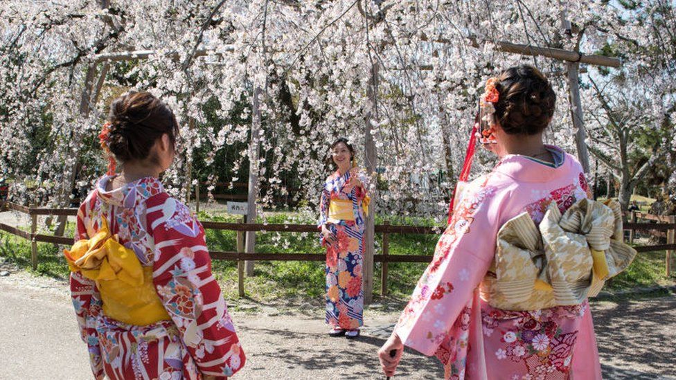 Japan's cherry blossom 'earliest peak since 812' Exedos