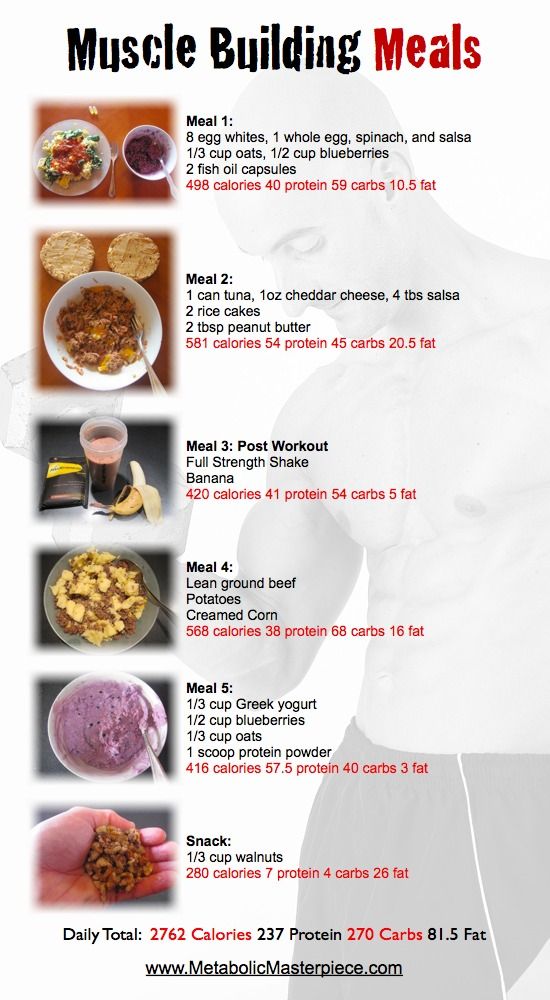 What Is Bulking And Cutting?
