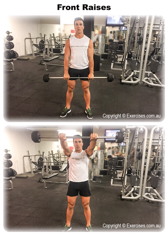 Front Raises