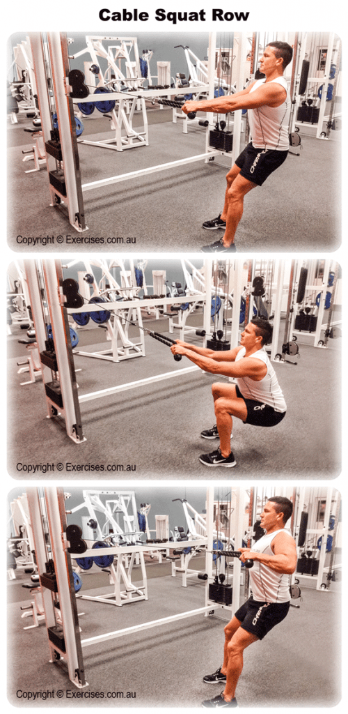 Cable Squat Row Quick 219 Min Expert Video