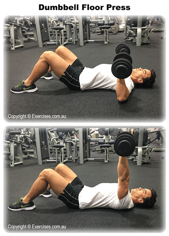 Dumbbell Floor Press Expert 129 Min Howto Demo Video