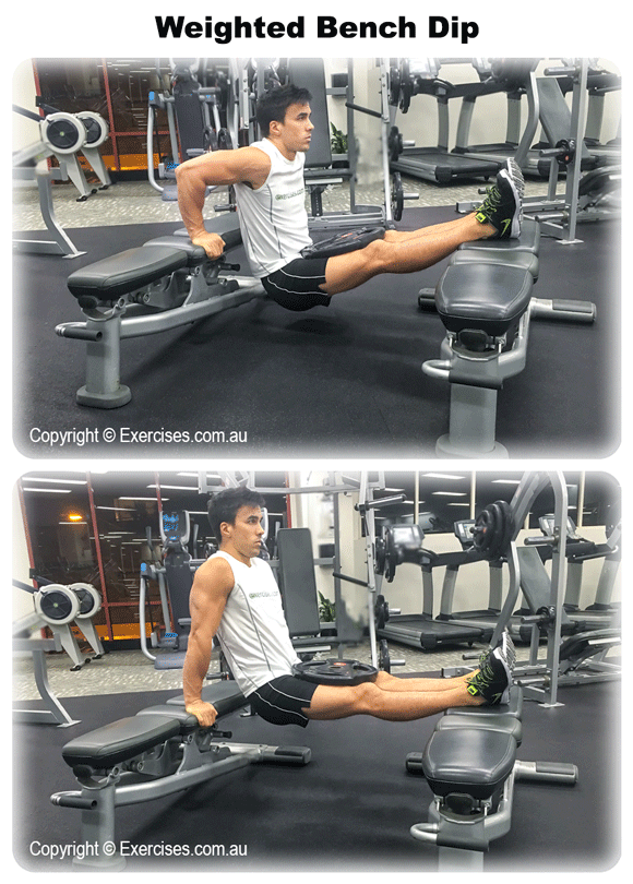 Weighted Bench Dip Quick 142 Min Expert Video