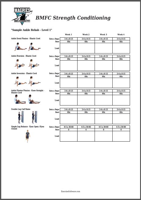 Exercise Software - View Articles