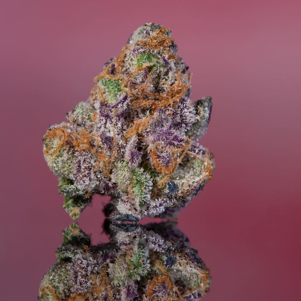 Buy Unicorn Poop Strain Buy Unicorn Poop Cookies Strain