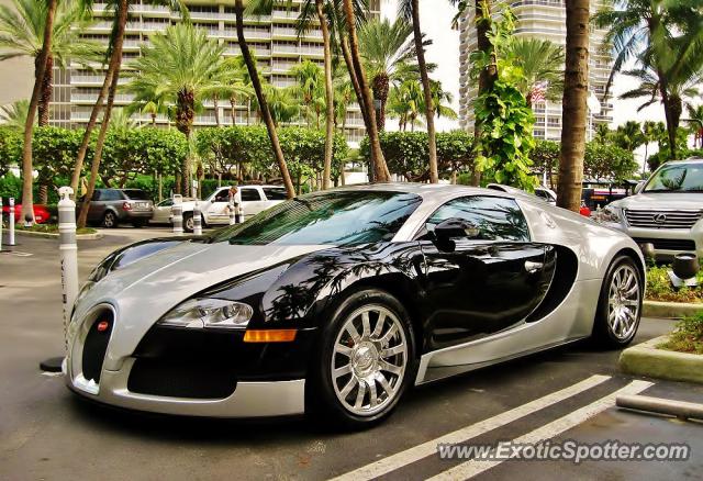 Bugatti Veyron spotted in Miami, Florida on 12/07/2012, photo 2