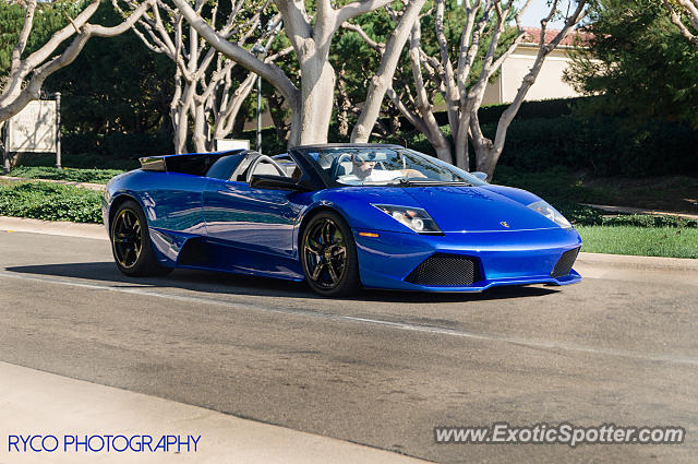 Murcielago spotted in Crystal Cove, California on 12/06/2014