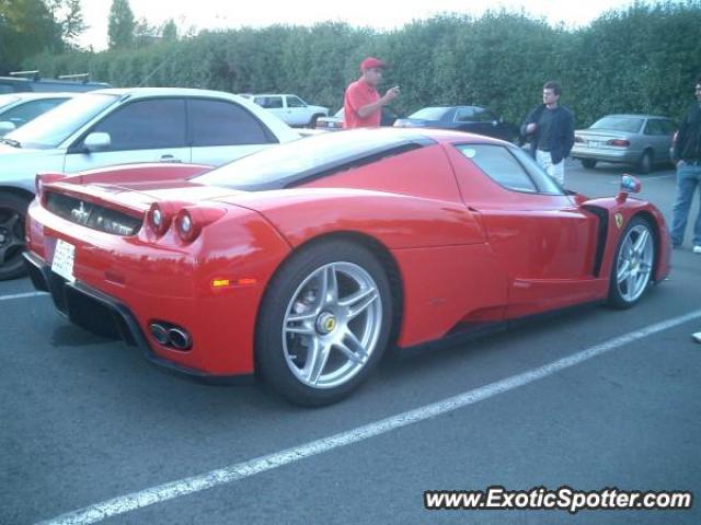 Ferrari Enzo spotted in Bellevue, Washington on 10/15/2005, photo 2