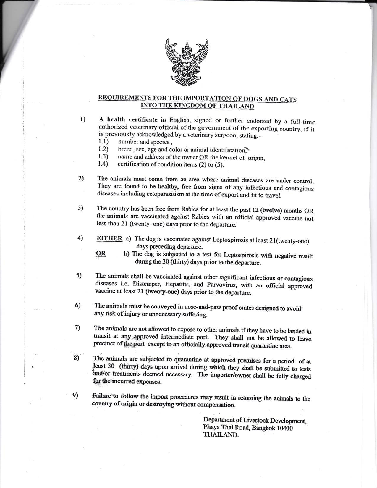 Moving to Thailand With a Dog or Cat A Quick Guide