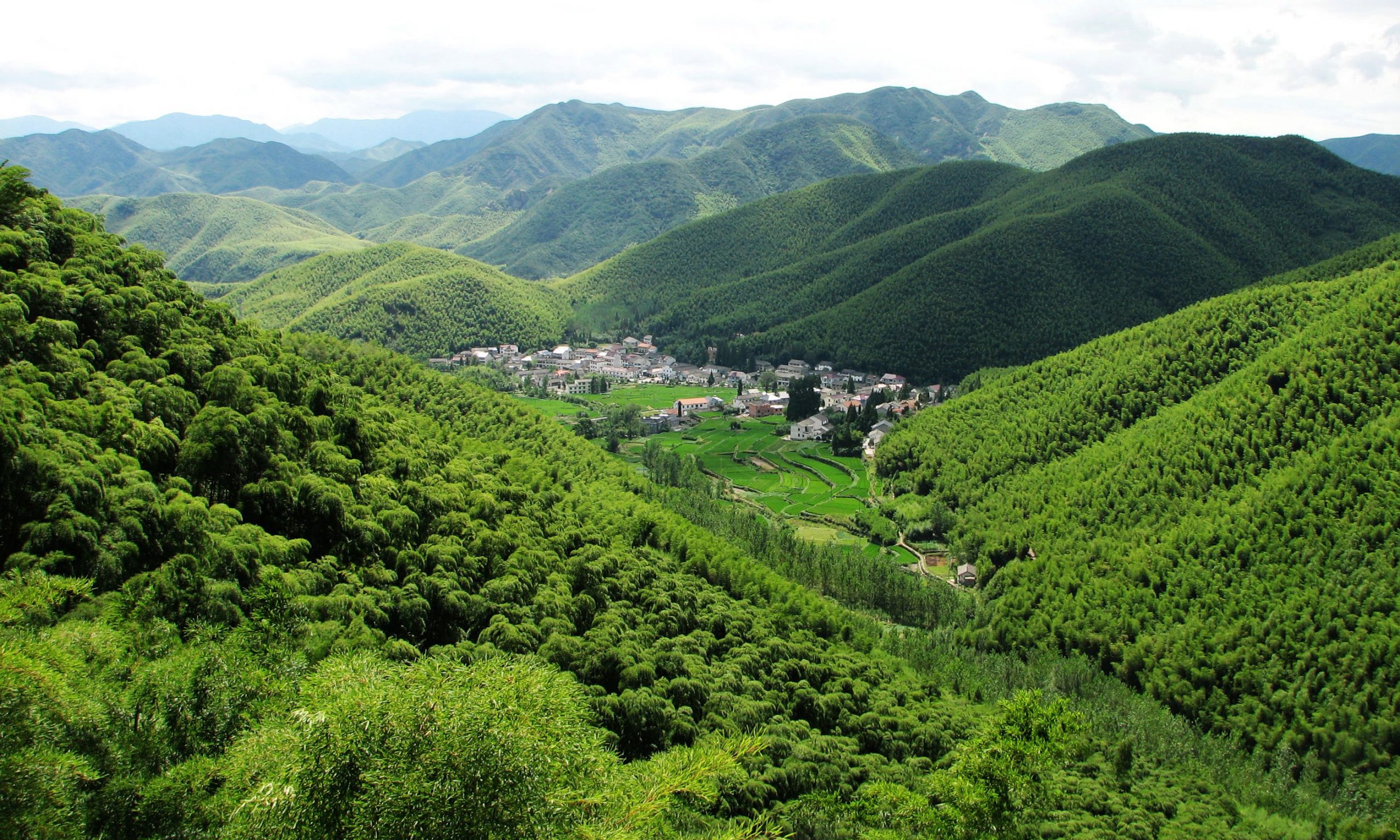 Where to Visit the Bamboo Forests in China? Expats Holidays