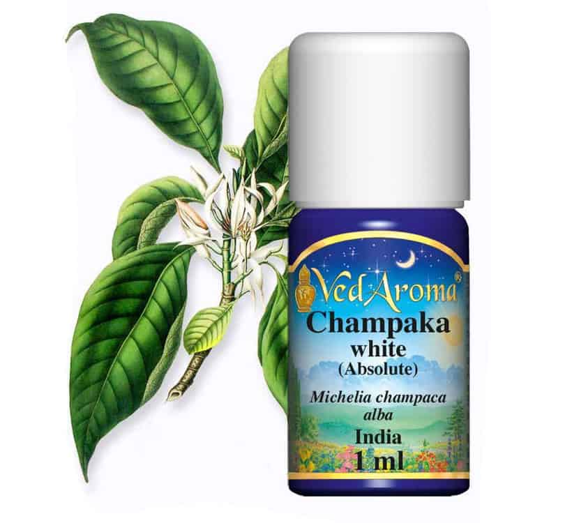 Top 10 Most Expensive Essential Oils in the World Expensive World