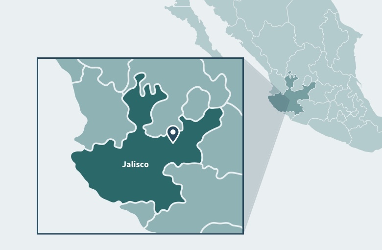 Tequila Highlands Day Tour Experience Agave