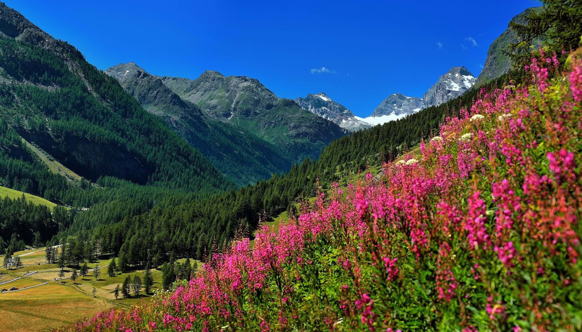 Aosta Valley in Italy A Winter and Summer Guide