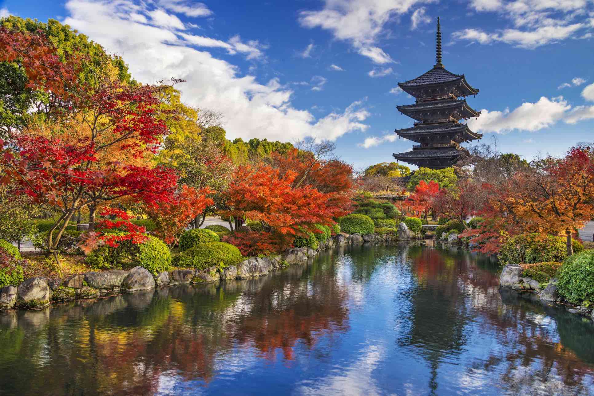 Japanese culture and heritage sites in Tokyo and Kyoto