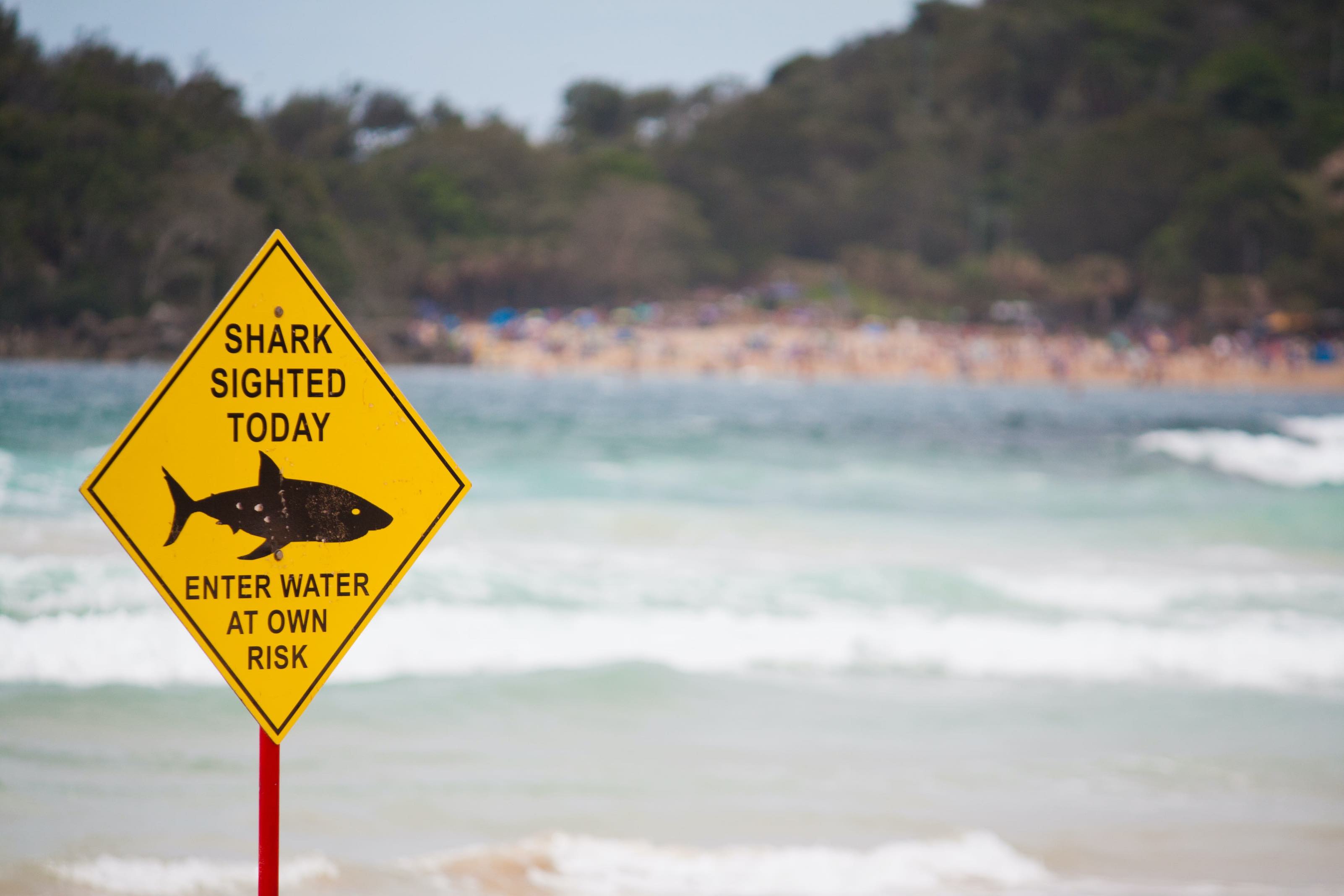 Is it safe to swim in the sea in Australia?