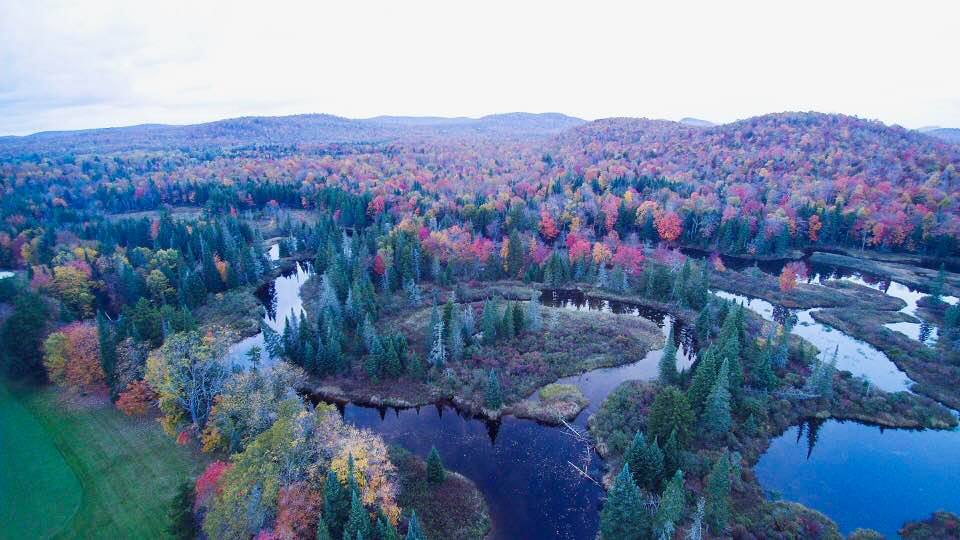 Fall Foliage Experience Old