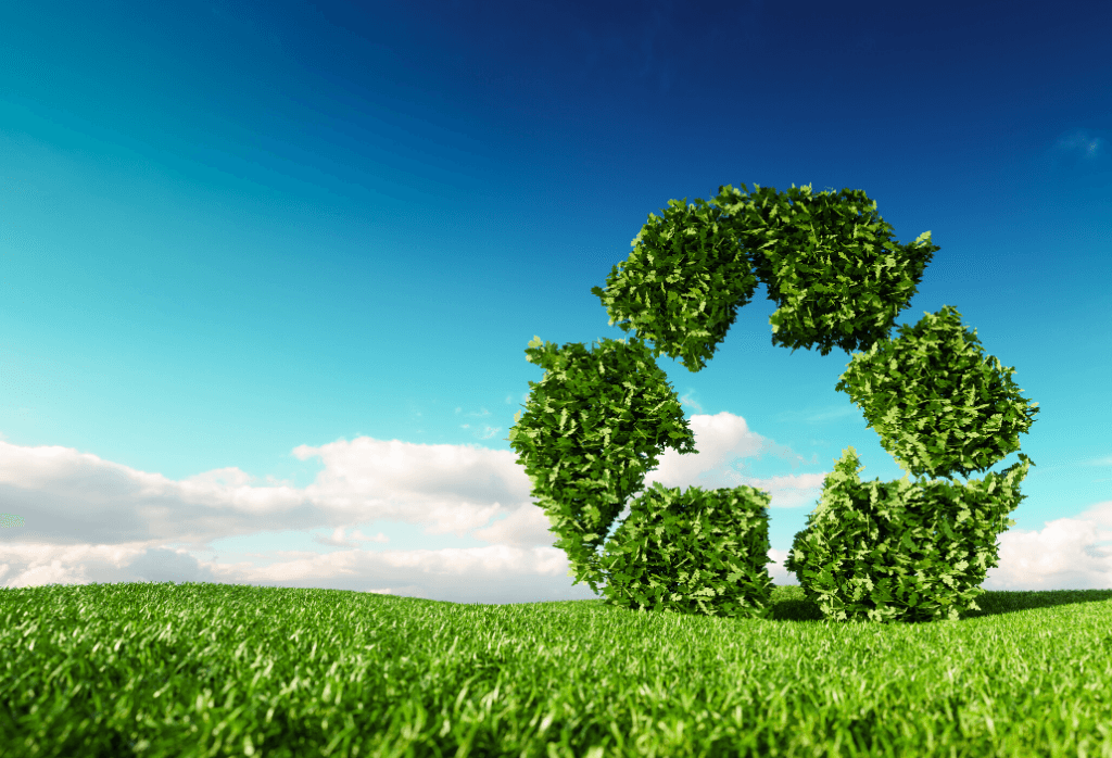 Grass Cycling How To Recycle Grass Clippings