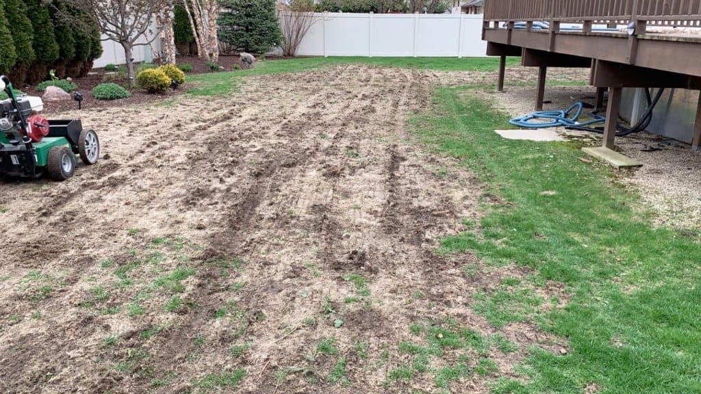 Repairing Summer Lawn Damage ExperiGreen