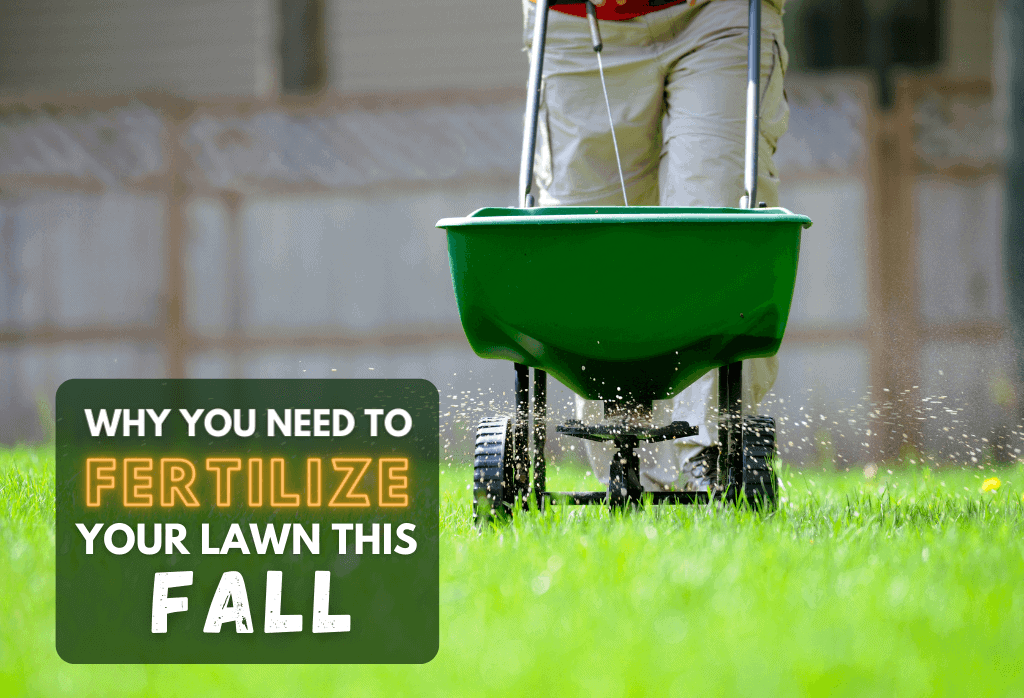 Why Fertilize In The Fall ExperiGreen