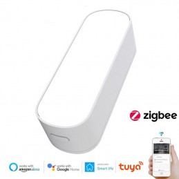 Tuya Smart Zigbee Lighting Sensor - Intelligent Automation