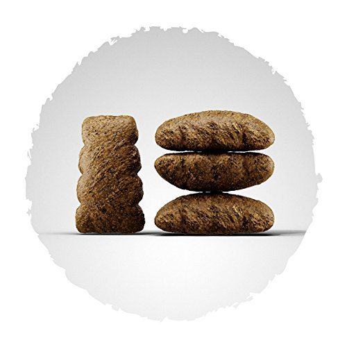 Josera SensiPlus im TÜVzertifizierten Test Hundefutter Vergleiche
