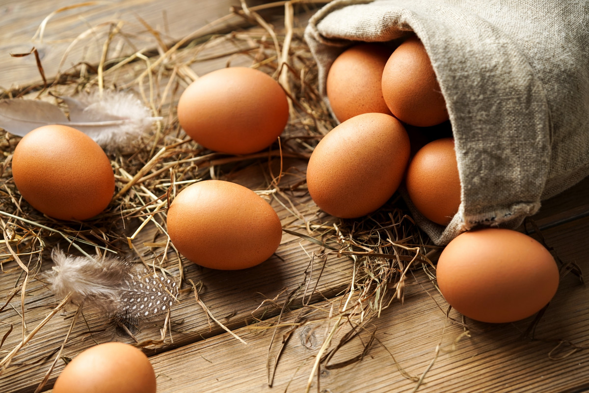 Cholesterin Wie viele Eier darf ich essen? experto.de