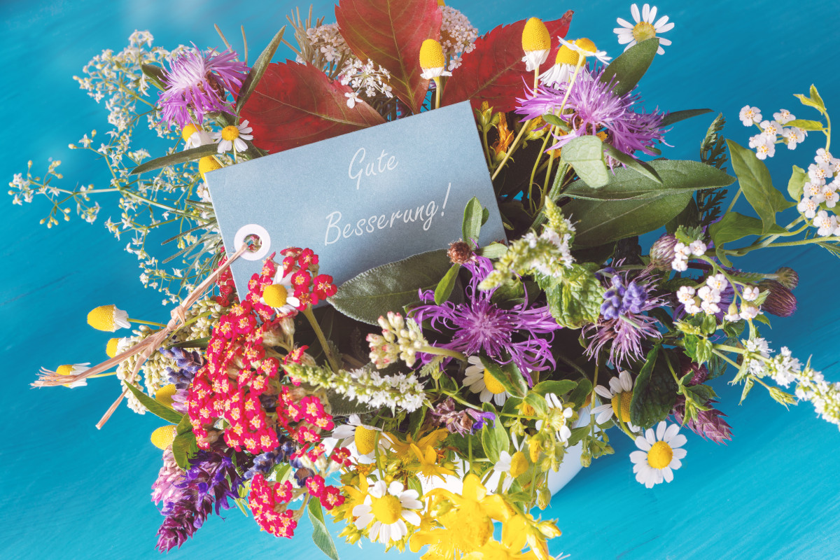 Mustertexte Für Genesungswünsche - Experto.de 800_x_1200_jpg