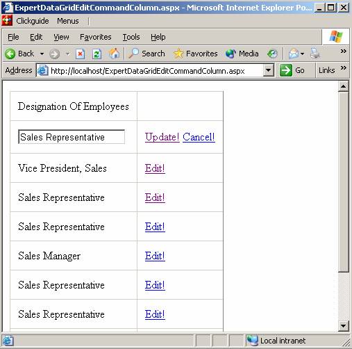 Expertrating Tutorial, Advance Practical Examples on DataGrid