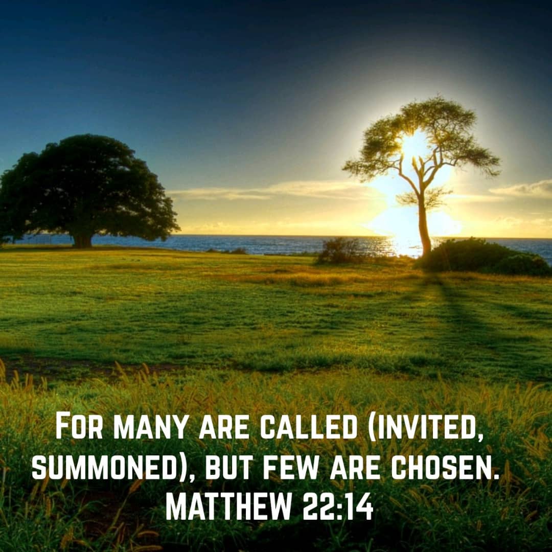 BIBLE INSIGHTS The Few Chosen Ones Explorations United