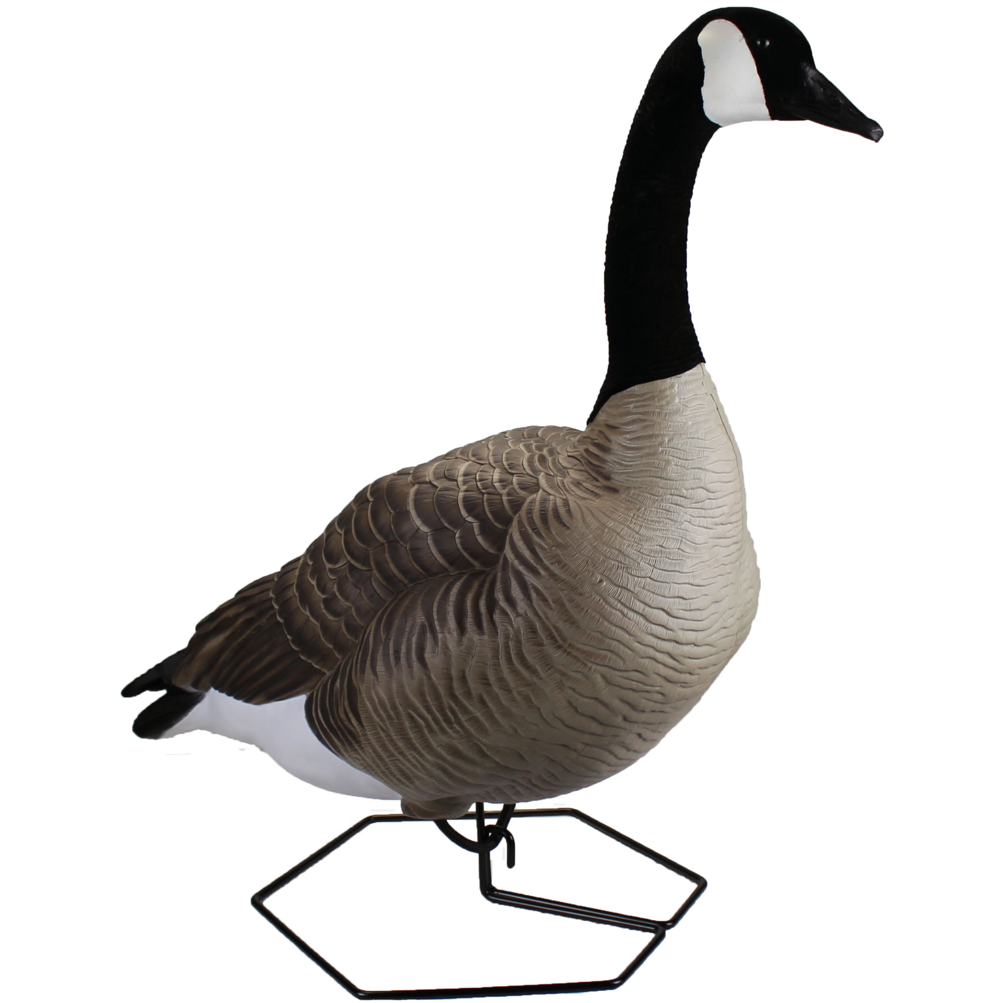 Dominator Series Full Body Decoys Explore Beavertail