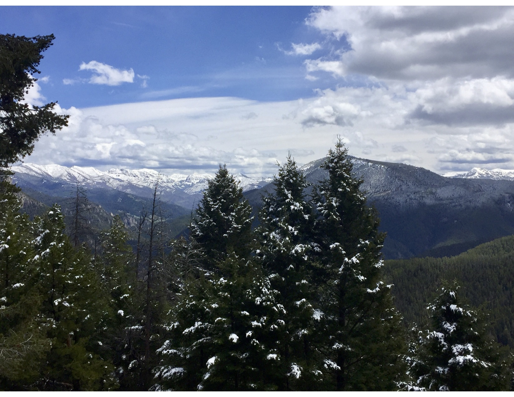 On the Trail Indian Ridge Trail No. 444 Explore Big Sky