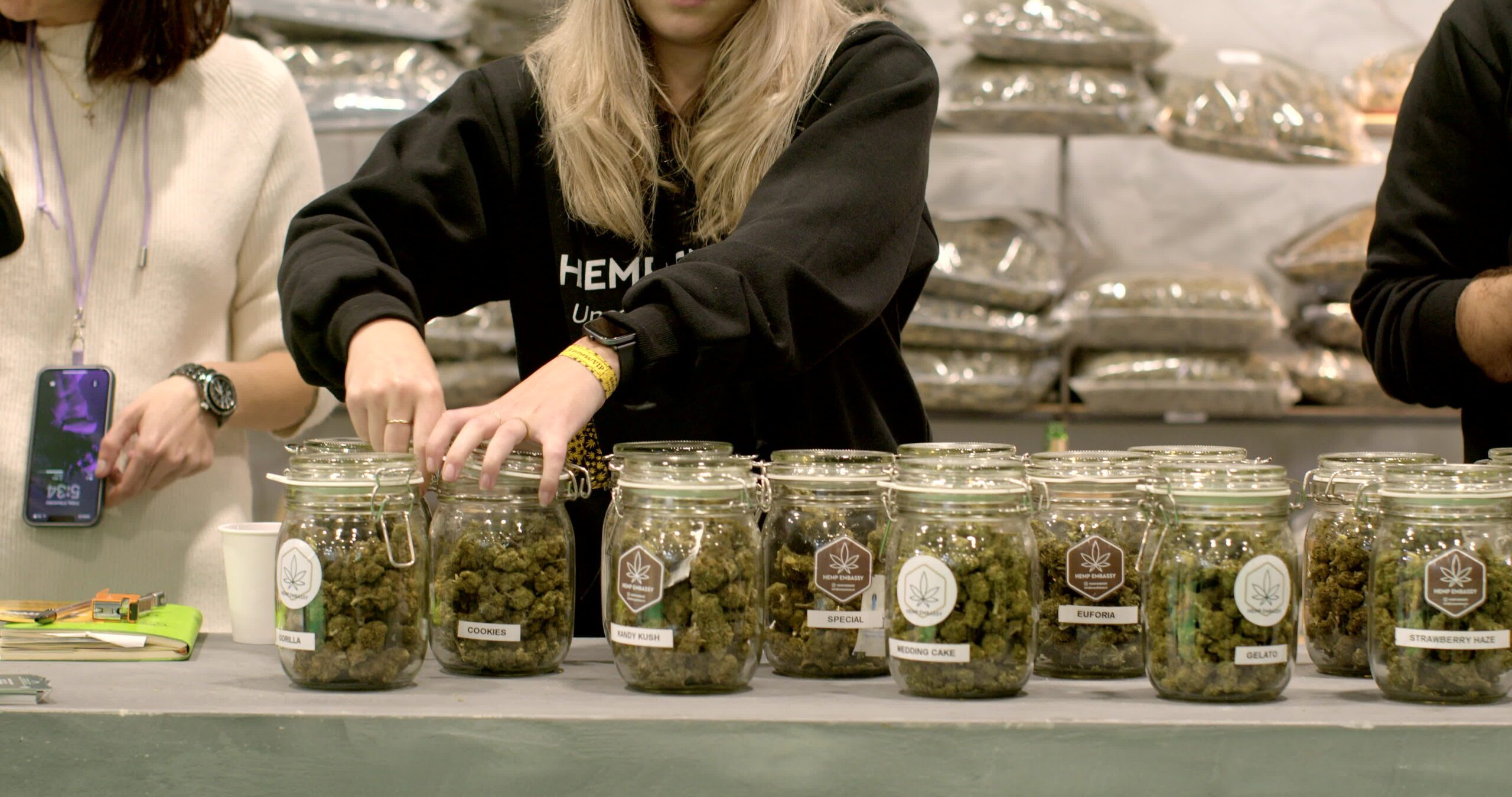 Montana marijuana retailers face exponentially higher license renewal