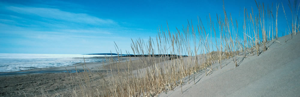 Hilton Head Island Guide The Official Website of Hilton Head Island
