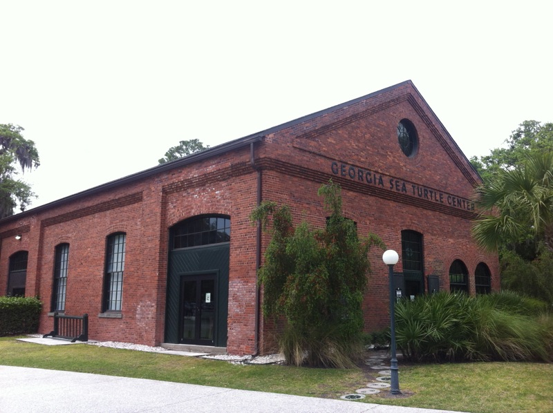 Sea Turtle Center Jekyll Island Admission, Hours of Operation