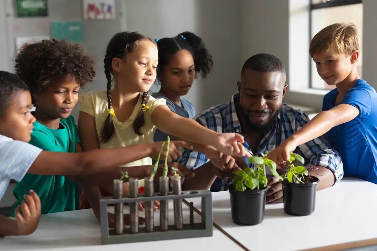 Teach Plant Growth Through Virtual Labs Gizmos