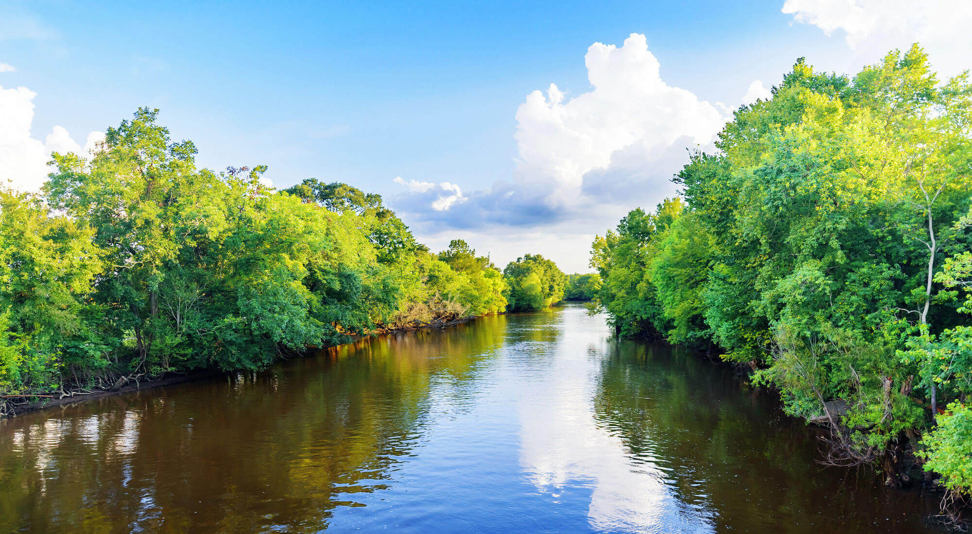 Explore Orthodontics Orthodontist Slidell Mandeville New Orleans LA