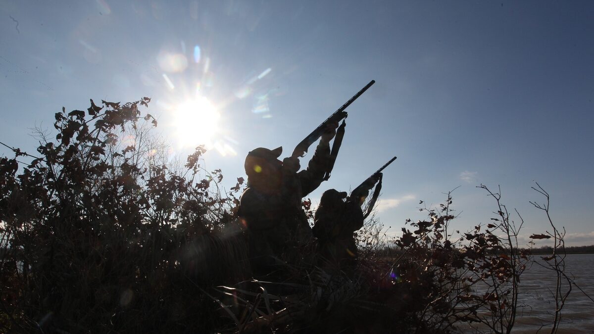 Best Waterfowl Shotgun Which Model Performs Best