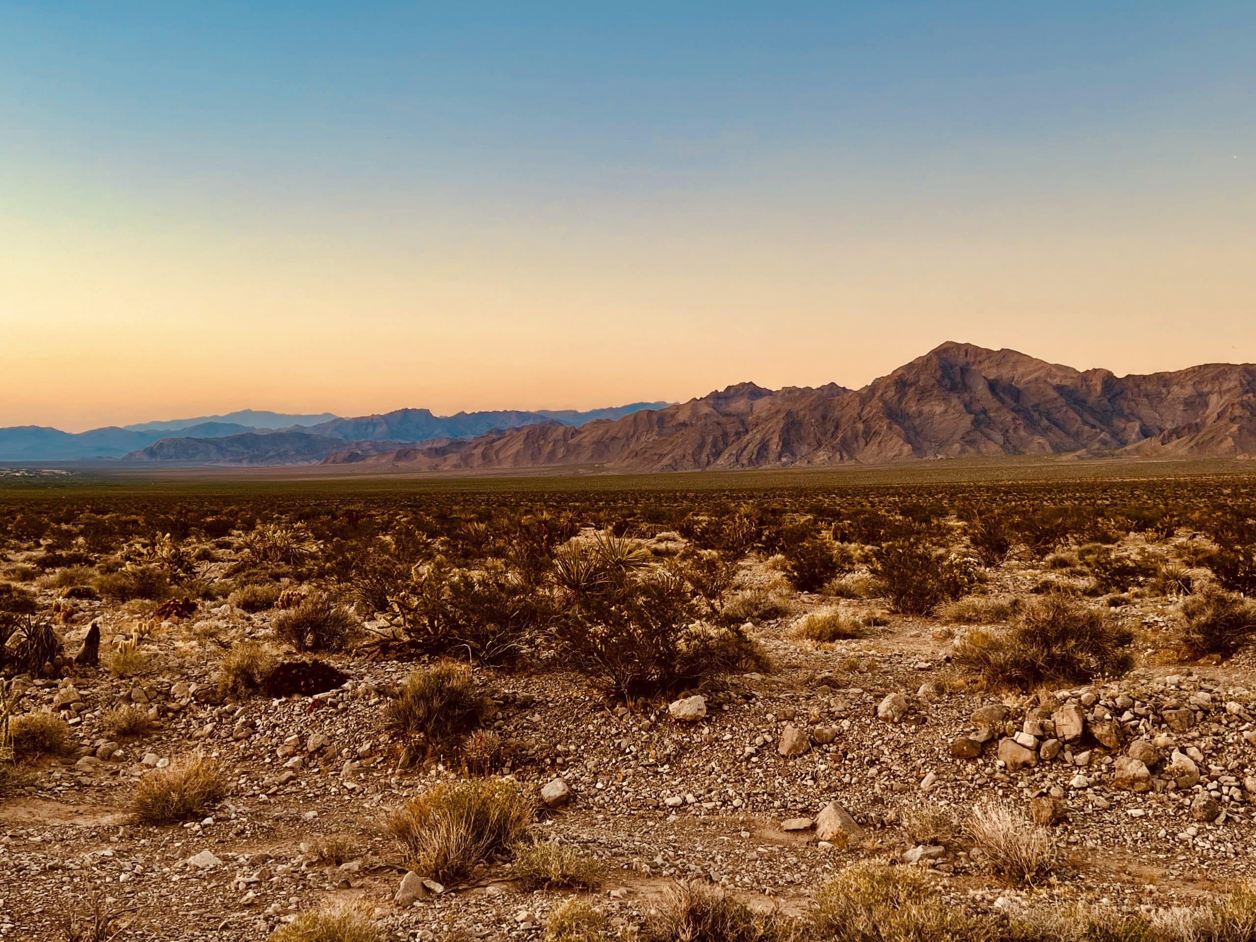 Remapping the Old Traction Road Conservation in the Mojave Desert