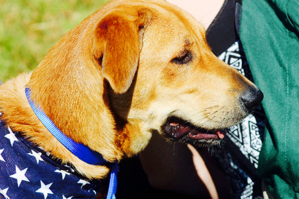 Duffield, Virginia Explore Scott County VA