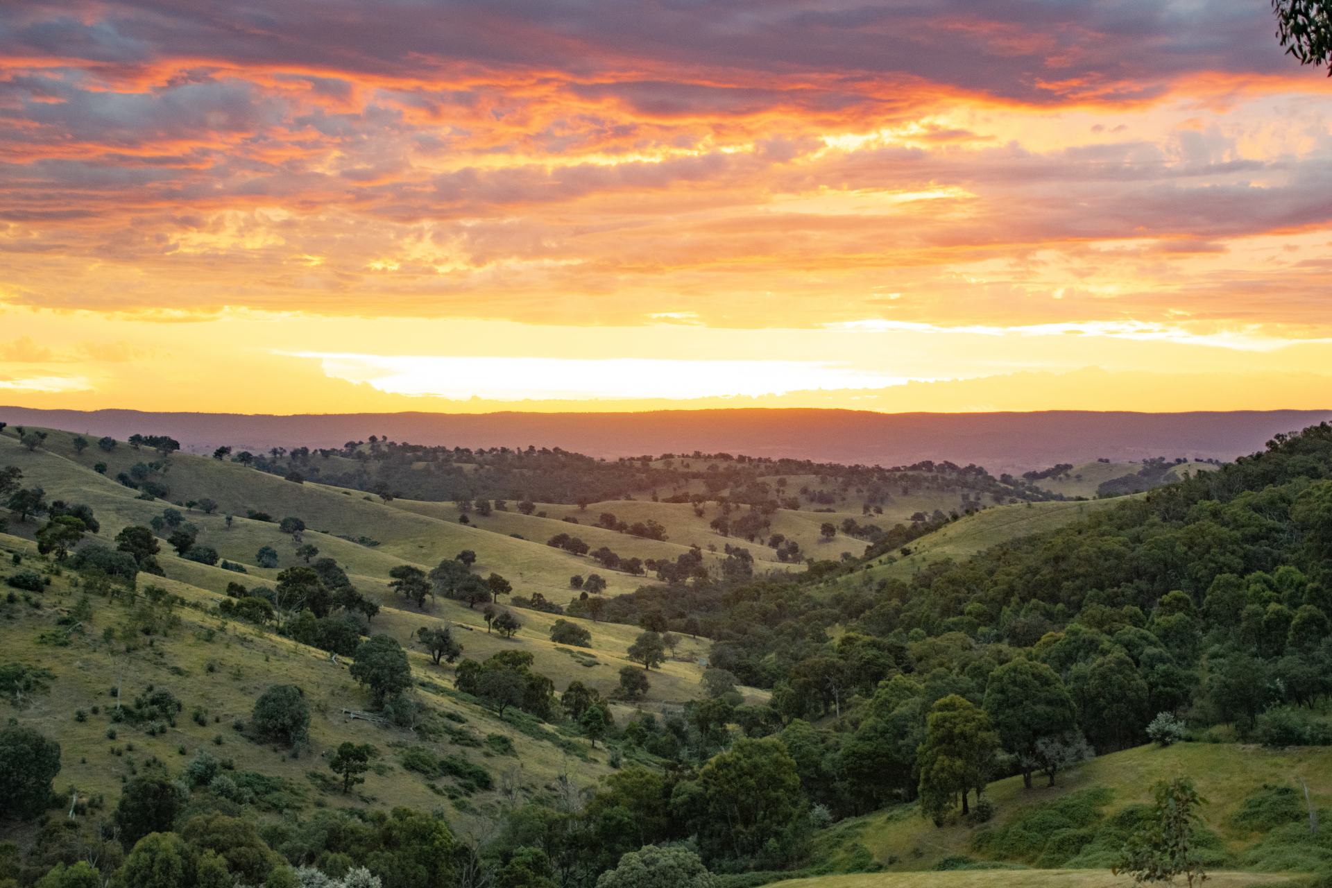 Glamping With Nature at Lake Eildon Explore Shaw