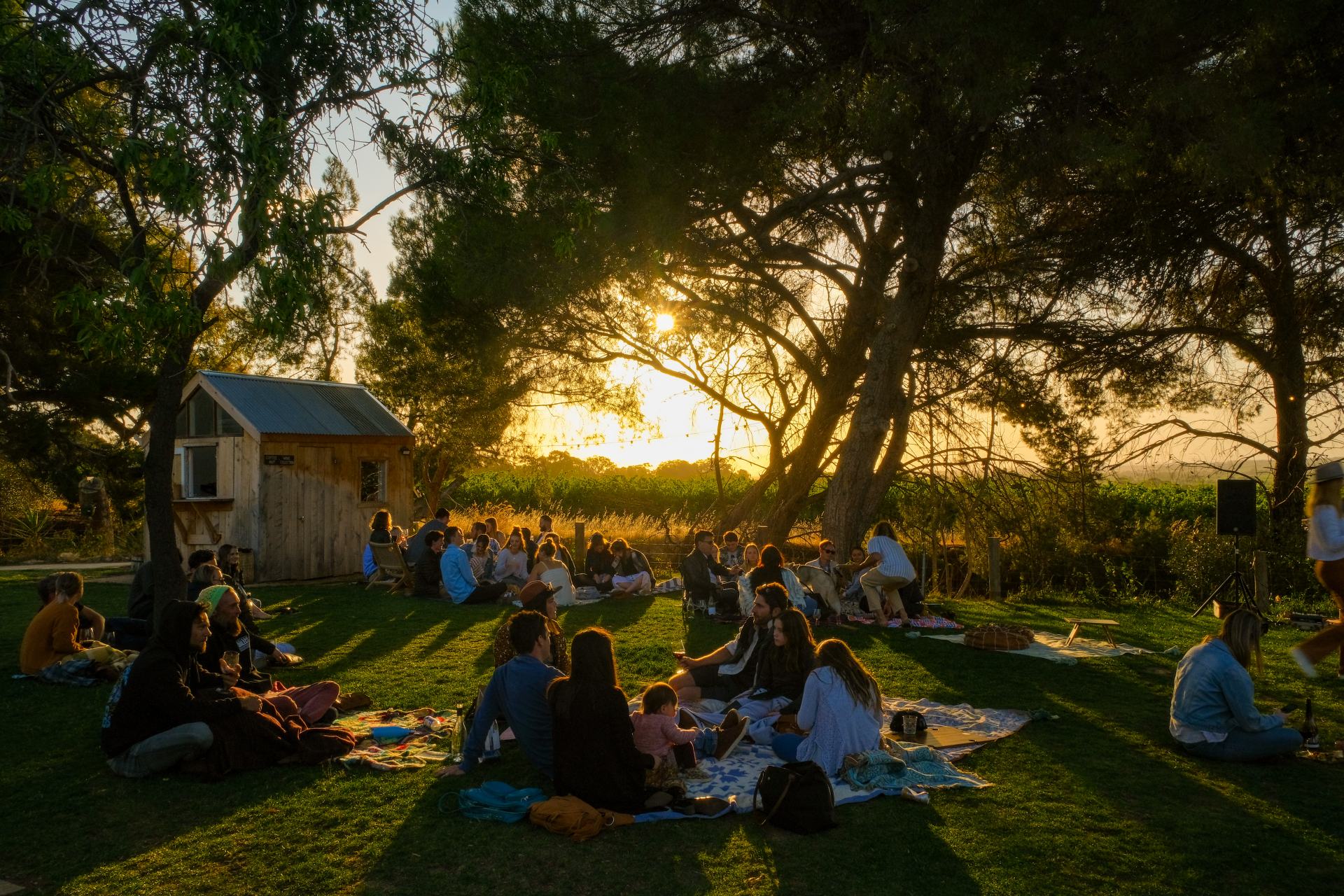 A Guide To The Best Wineries In McLaren Vale Explore Shaw