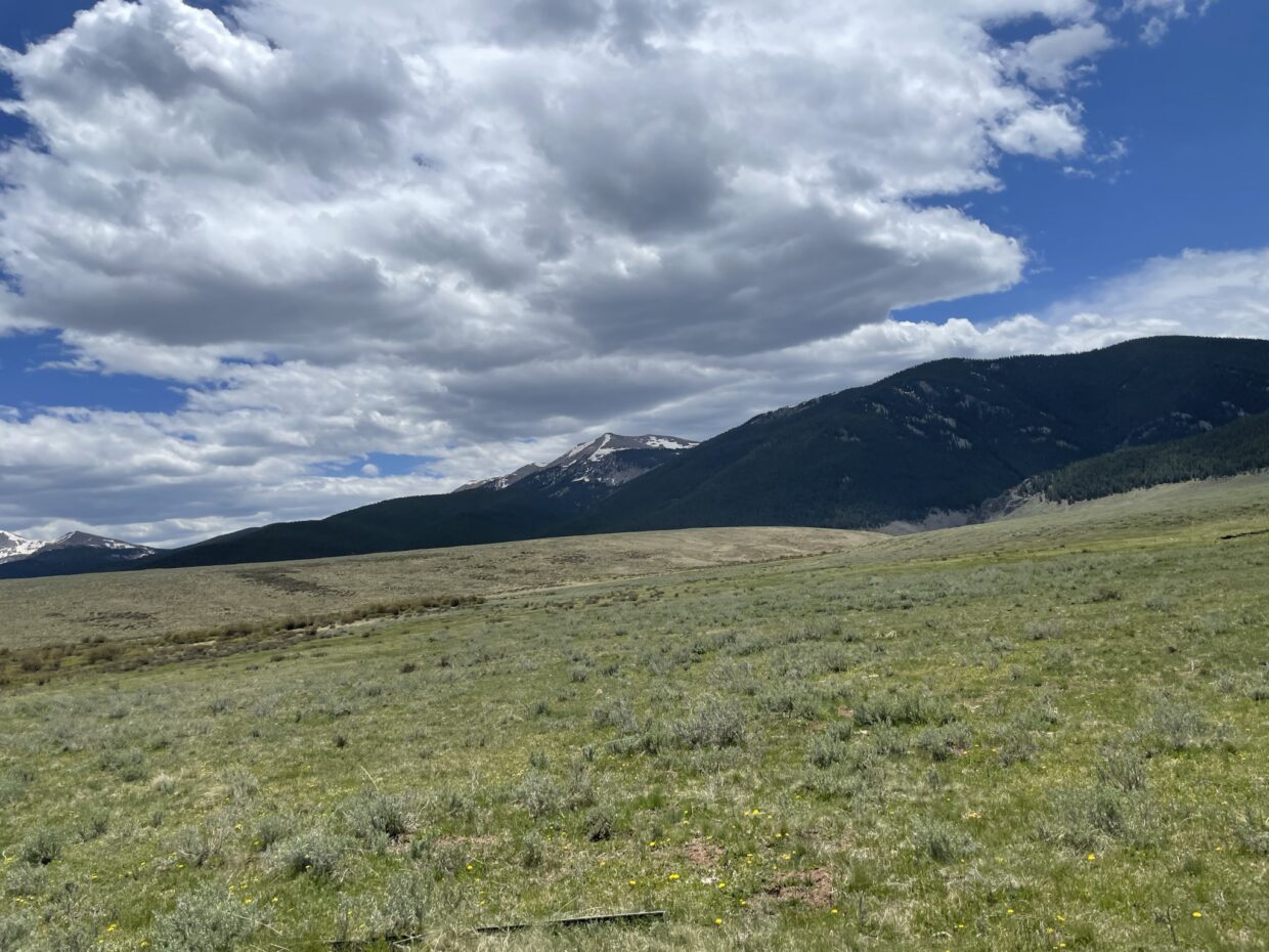 Union Park near Taylor Reservoir Colorado
