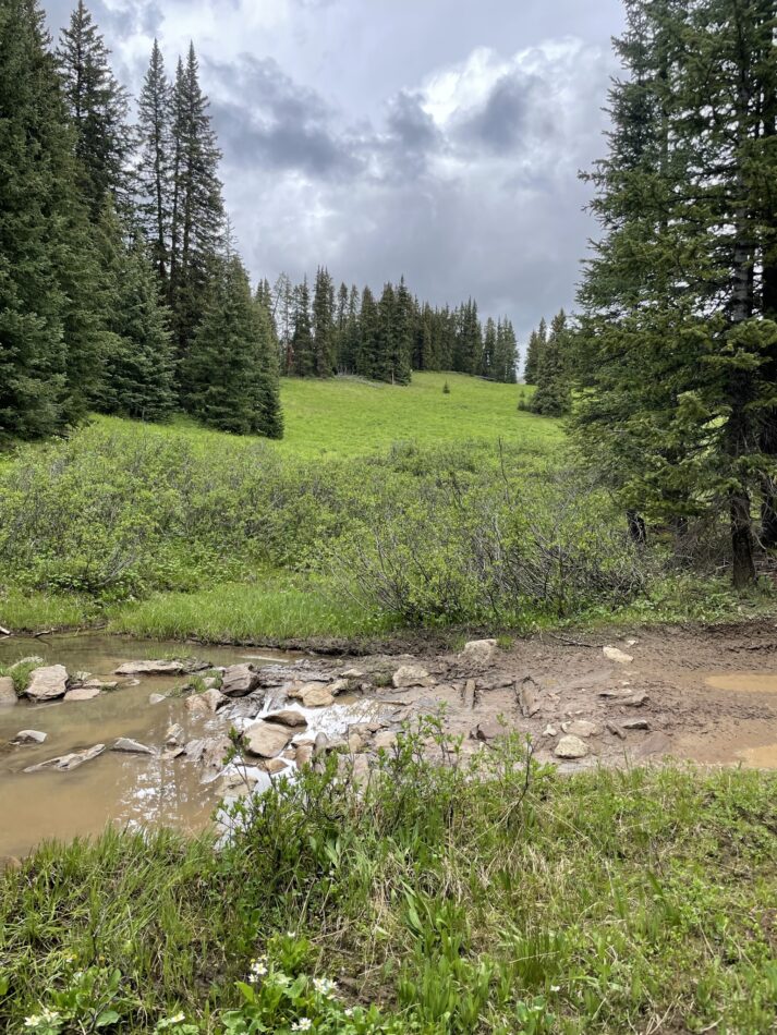 American Flag Mountain in Taylor Park Colorado