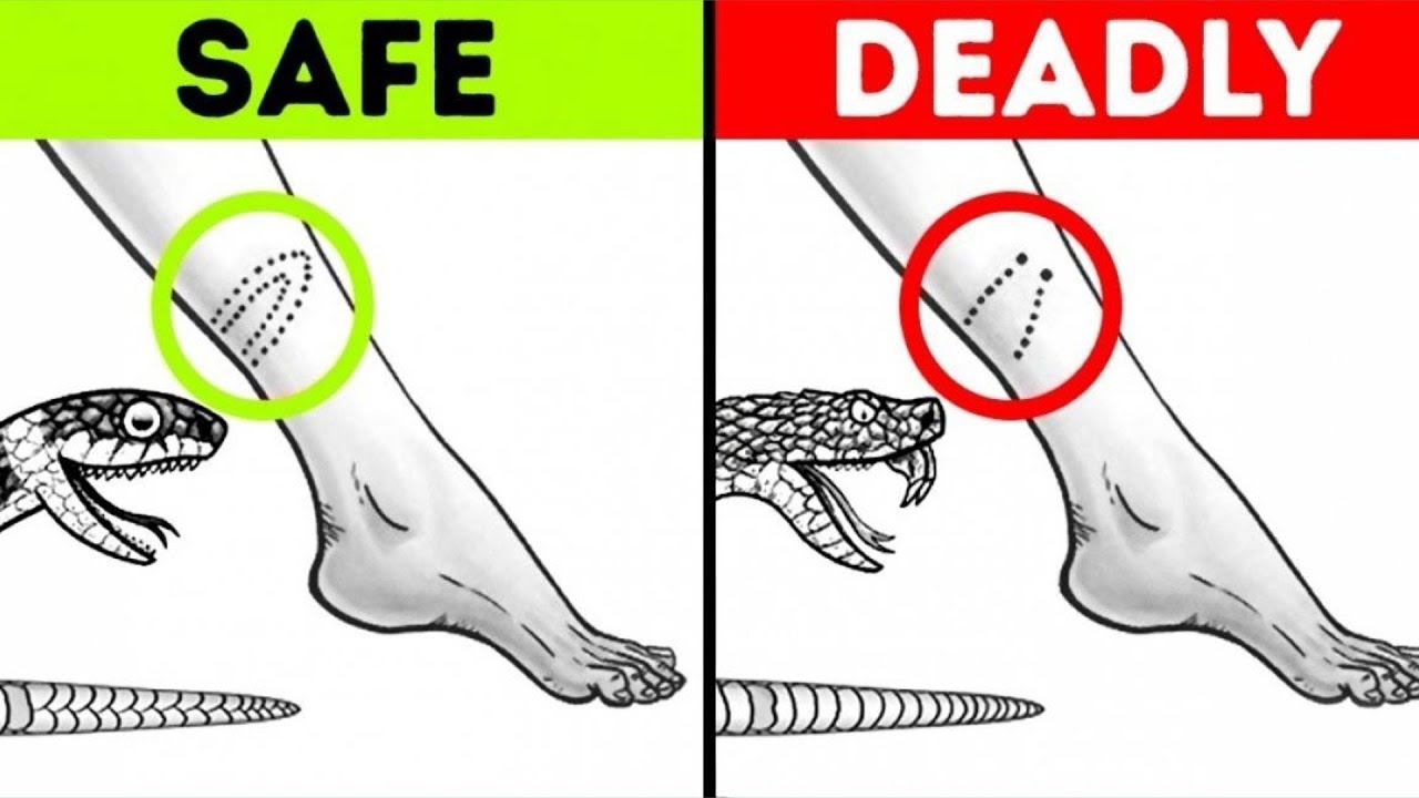 Wall Decoration Ideas without Damaging the Paint Explore