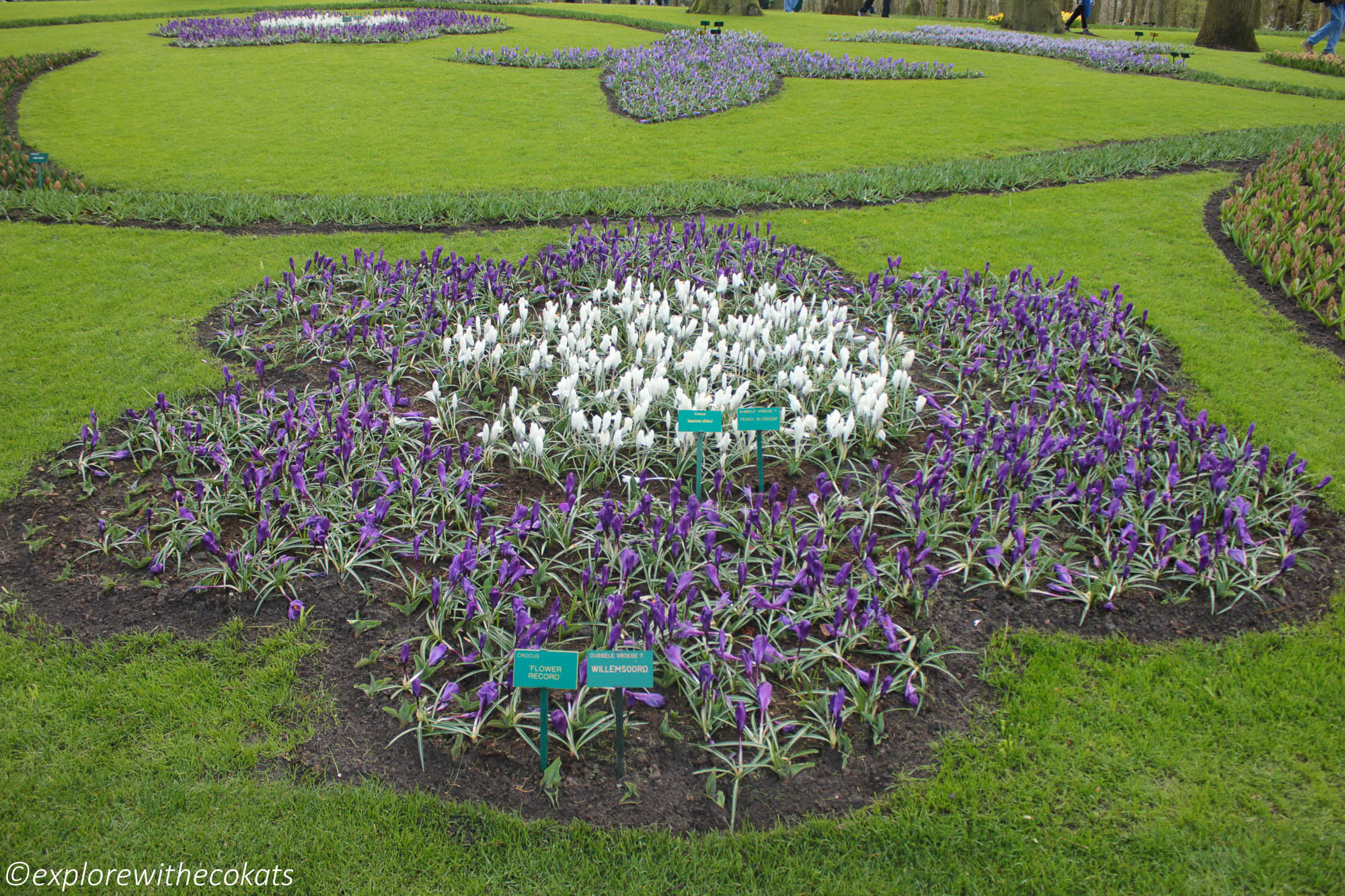 Keukenhof Tulip garden Guide, Tips, Photos Explore with Ecokats