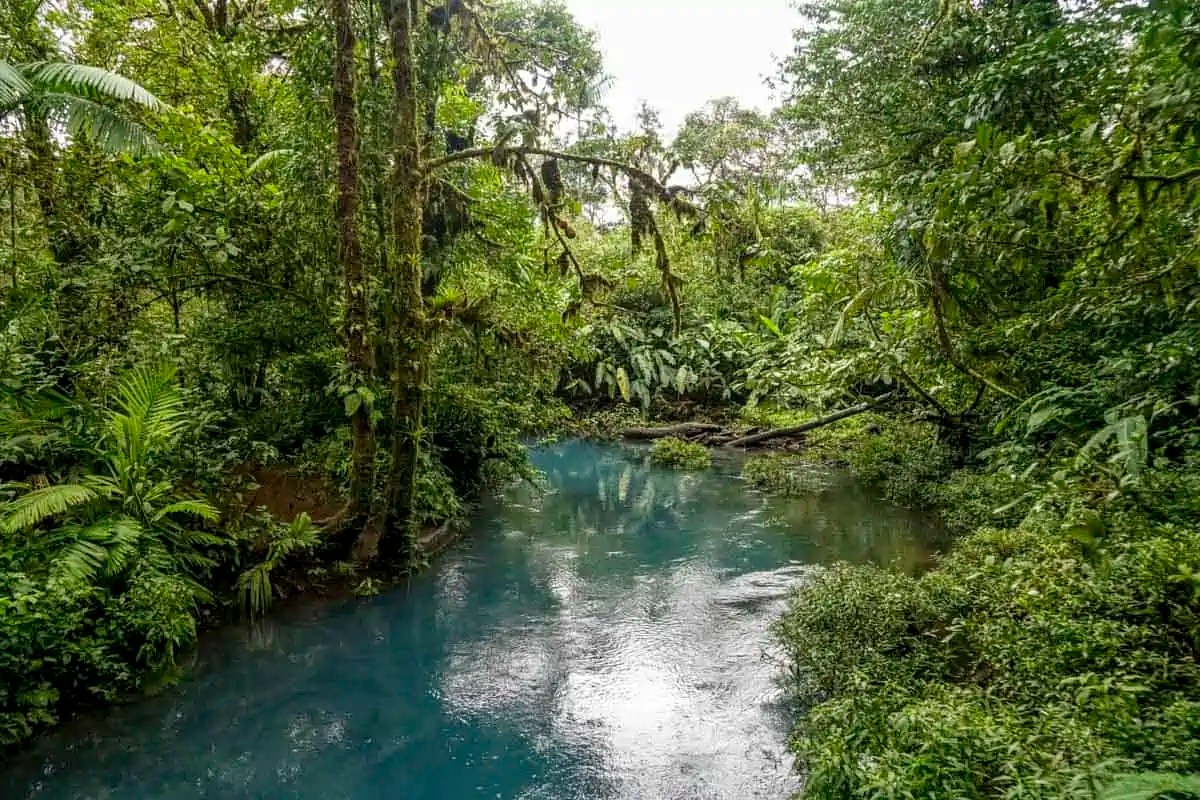Rio Celeste, Costa Rica How to Visit This Magical Blue Waterfall