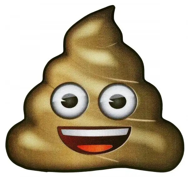 [2 Methods] How To Get Rid Of A Poop Pyramid In Rv Black Tank