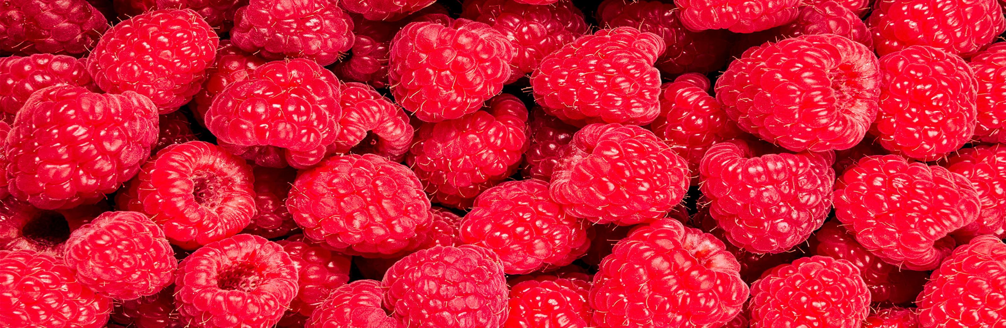 Fresas Frambuesas & Blueberries de Costa Rica, Heredia (89204646)