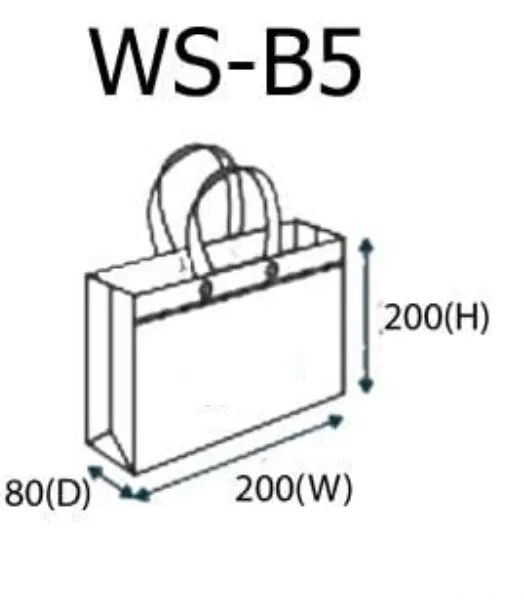Non Woven Bag Flyer Printing