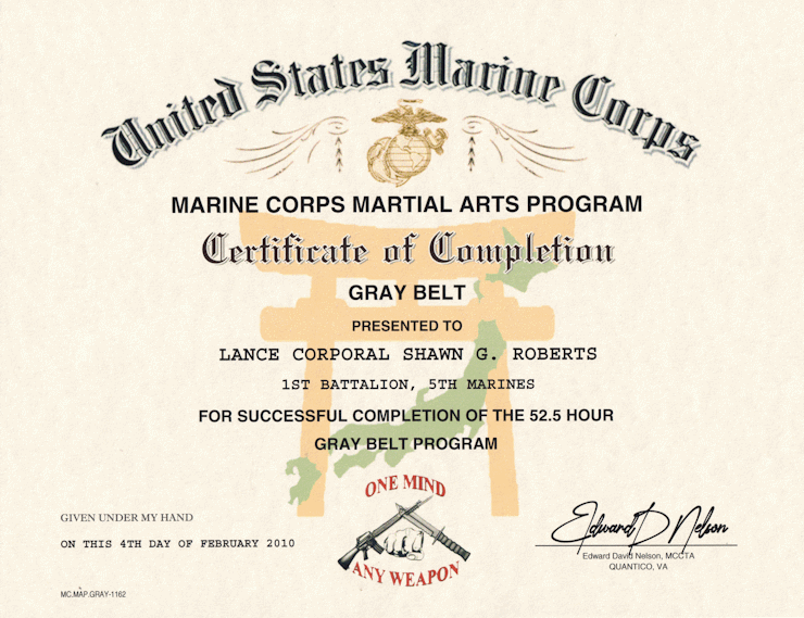 marine corps martial arts program